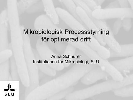 Mikrobiologisk Processstyrning för optimerad drift
