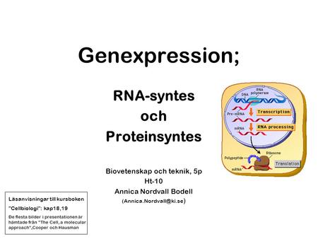 Genexpression; RNA-syntes och Proteinsyntes