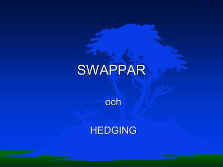 SWAPPAR och HEDGING.