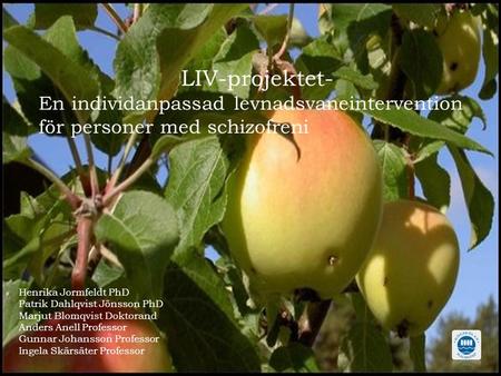 LIV-projektet- En individanpassad levnadsvaneintervention för personer med schizofreni Henrika Jormfeldt Vice ordförande i Psykiatriska Riksföreningen.