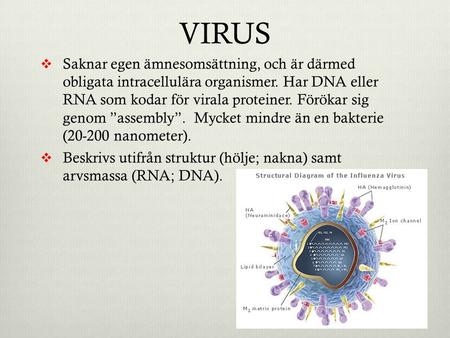 VIRUS Saknar egen ämnesomsättning, och är därmed obligata intracellulära organismer. Har DNA eller RNA som kodar för virala proteiner. Förökar sig genom.