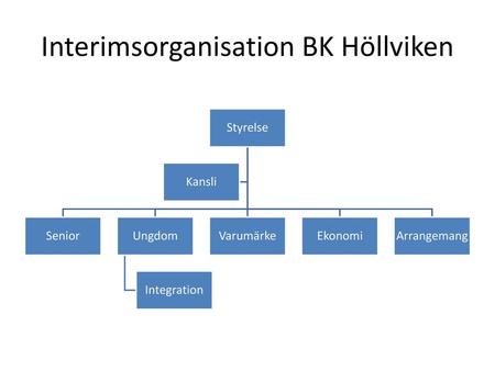 Interimsorganisation BK Höllviken