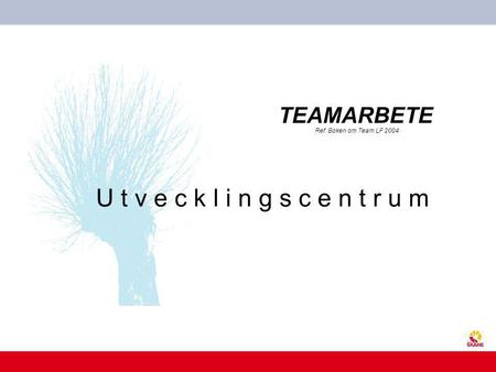 TEAMARBETE Ref. Boken om Team LF 2004.