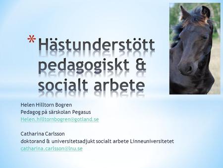 Hästunderstött pedagogiskt & socialt arbete