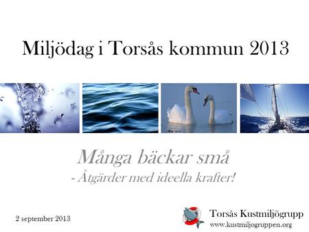 Miljödag i Torsås kommun 2013