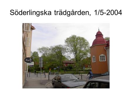 Söderlingska trädgården, 1/5-2004. Nedanför Pölgatan.