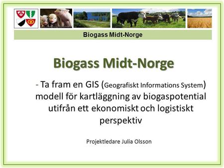Biogass Midt-Norge Projektledare Julia Olsson - Ta fram en GIS ( Geografiskt Informations System ) modell för kartläggning av biogaspotential utifrån ett.