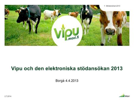 Vipu och den elektroniska stödansökan 2013