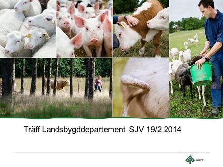 Träff Landsbygddepartement SJV 19/2 2014. Sid 2 | LRF Kött Mål •Skapa förutsättningar för en lönsam tillväxt •Konkurrenskraftig svensk grisköttsproduktion.