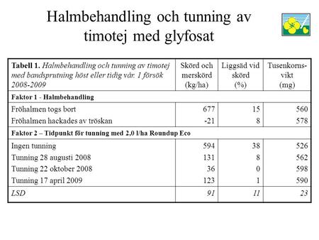 Halmbehandling och tunning av timotej med glyfosat Tabell 1. Halmbehandling och tunning av timotej med bandsprutning höst eller tidig vår. 1 försök 2008-2009.