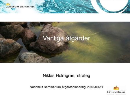 Vanliga åtgärder Niklas Holmgren, strateg
