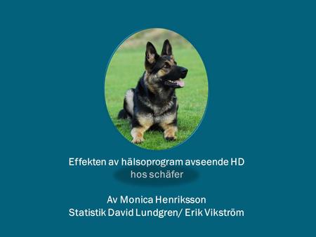 Effekten av hälsoprogram avseende HD hos schäfer Av Monica Henriksson Statistik David Lundgren/ Erik Vikström.