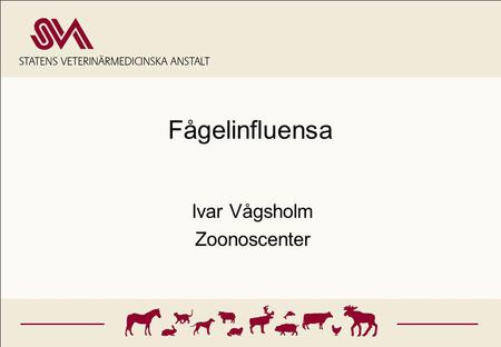 Ivar Vågsholm Zoonoscenter