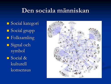 Den sociala människan Social kategori Social grupp Folksamling