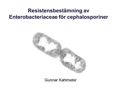 Resistensbestämning av Enterobacteriaceae för cephalosporiner