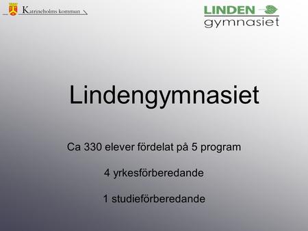 Ca 330 elever fördelat på 5 program 4 yrkesförberedande 1 studieförberedande Lindengymnasiet.