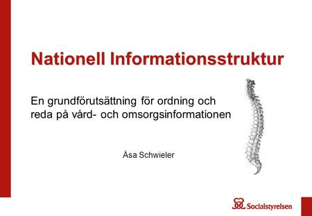 Nationell Informationsstruktur