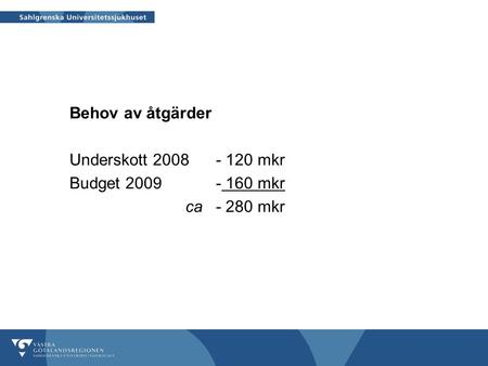 Behov av åtgärder Underskott 2008 - 120 mkr Budget 2009- 160 mkr ca- 280 mkr.