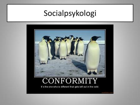 Socialpsykologi.