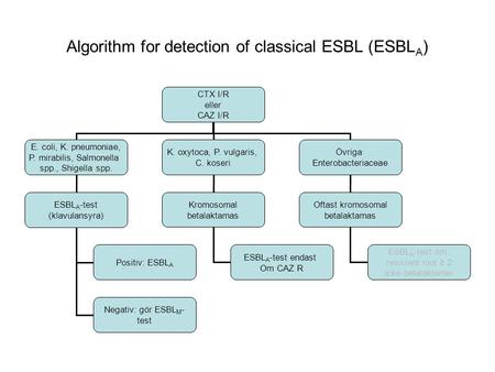 Algorithm for detection of classical ESBL (ESBLA)