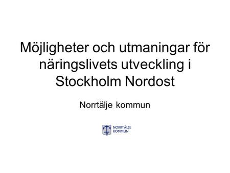Möjligheter och utmaningar för näringslivets utveckling i Stockholm Nordost Norrtälje kommun.