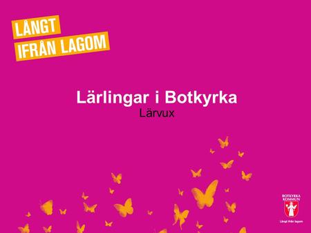 Lärlingar i Botkyrka Lärvux 2012-07-131.