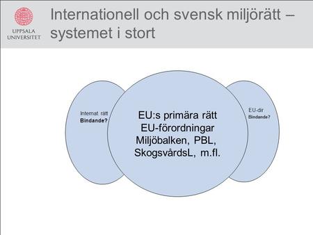 Internationell och svensk miljörätt – systemet i stort