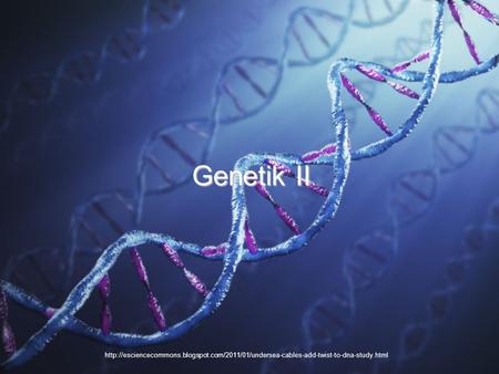 Genetik II http://esciencecommons.blogspot.com/2011/01/undersea-cables-add-twist-to-dna-study.html.