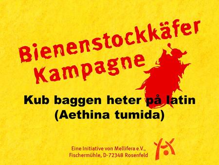 Kub baggen heter på latin (Aethina tumida) Eine Initiative von Mellifera e.V., Fischermühle, D-72348 Rosenfeld.