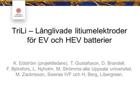 TriLi – Långlivade litiumelektroder för EV och HEV batterier K. Edström (projektledare), T. Gustafsson, D. Brandell, F. Björefors, L. Nyholm, M. Strömme.