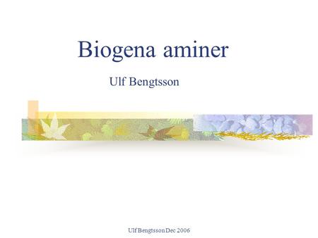 Biogena aminer Ulf Bengtsson