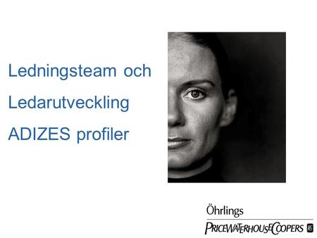 Date Ledningsteam och Ledarutveckling ADIZES profiler.
