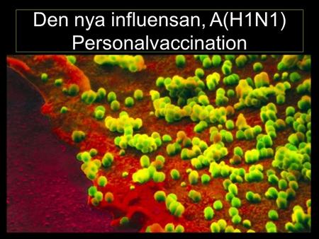 Den nya influensan, A(H1N1) Personalvaccination