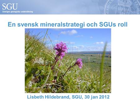 En svensk mineralstrategi och SGUs roll Lisbeth Hildebrand, SGU, 30 jan 2012.
