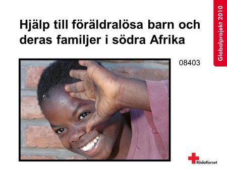 Hjälp till föräldralösa barn och deras familjer i södra Afrika 08403.