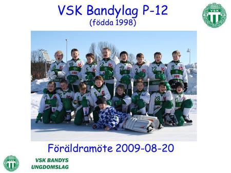 VSK Bandylag P-12 (födda 1998)