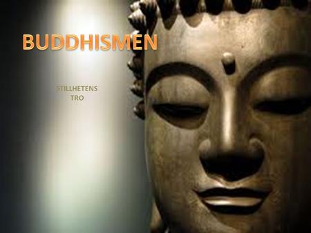 BUDDHISMEN STILLHETENS TRO.