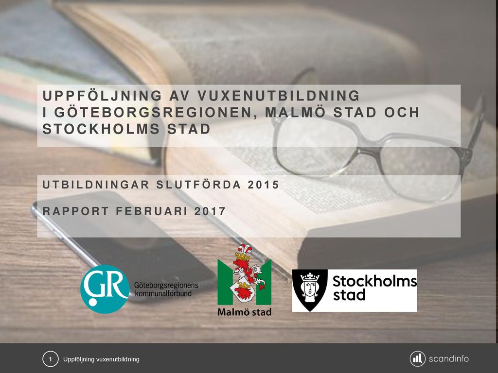 uppföljning AV vuxenutbildning i Göteborgsregionen, Malmö stad och Stockholms stad