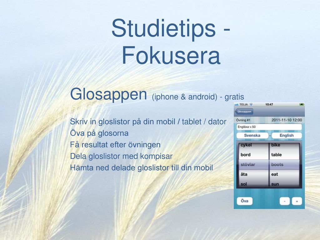 Studietips - Fokusera Glosappen (iphone & android) - gratis
