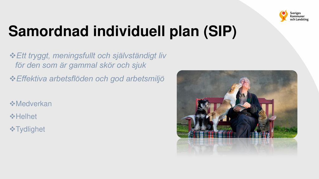 Samordnad individuell plan (SIP)