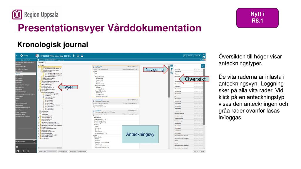 Presentationsvyer Vårddokumentation