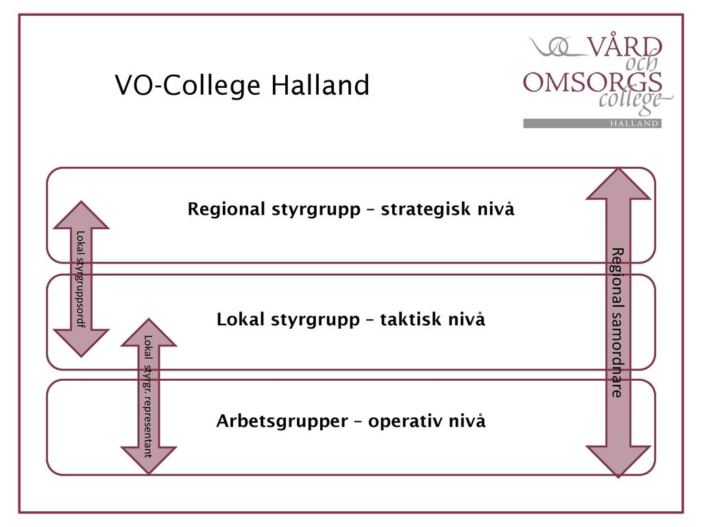 VO-College Halland Regional styrgrupp – strategisk nivå