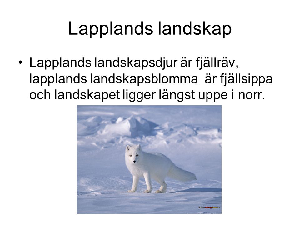 Lapplands landskap Lapplands landskapsdjur är fjällräv, lapplands landskapsblomma är fjällsippa och landskapet ligger längst uppe i norr.