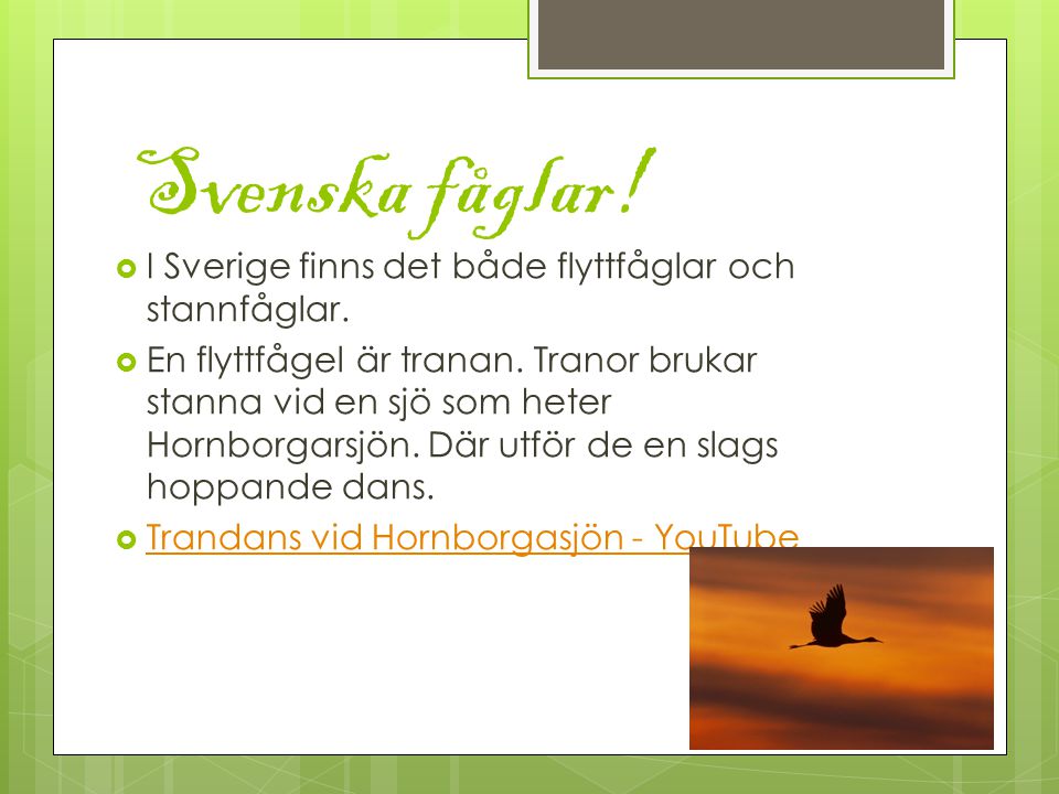 Svenska fåglar! I Sverige finns det både flyttfåglar och stannfåglar.