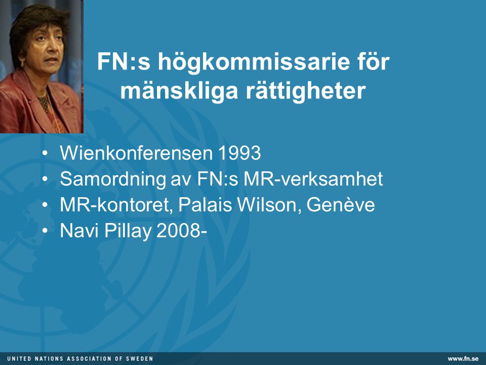 FN:s högkommissarie för mänskliga rättigheter