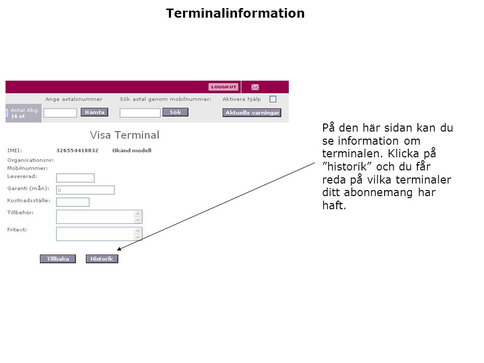 Terminalinformation