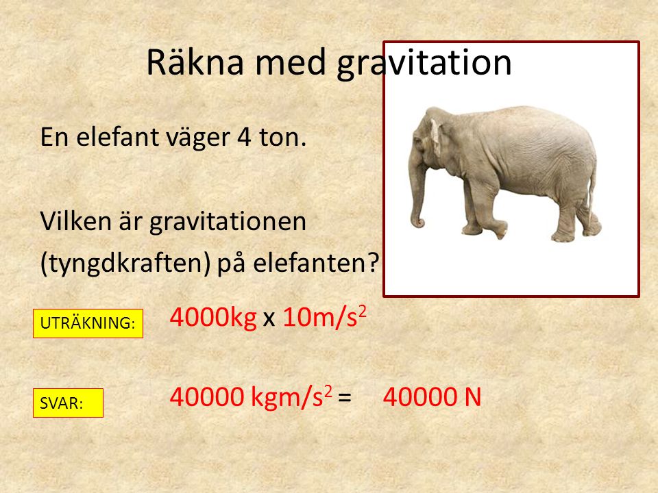 Räkna med gravitation En elefant väger 4 ton. Vilken är gravitationen (tyngdkraften) på elefanten