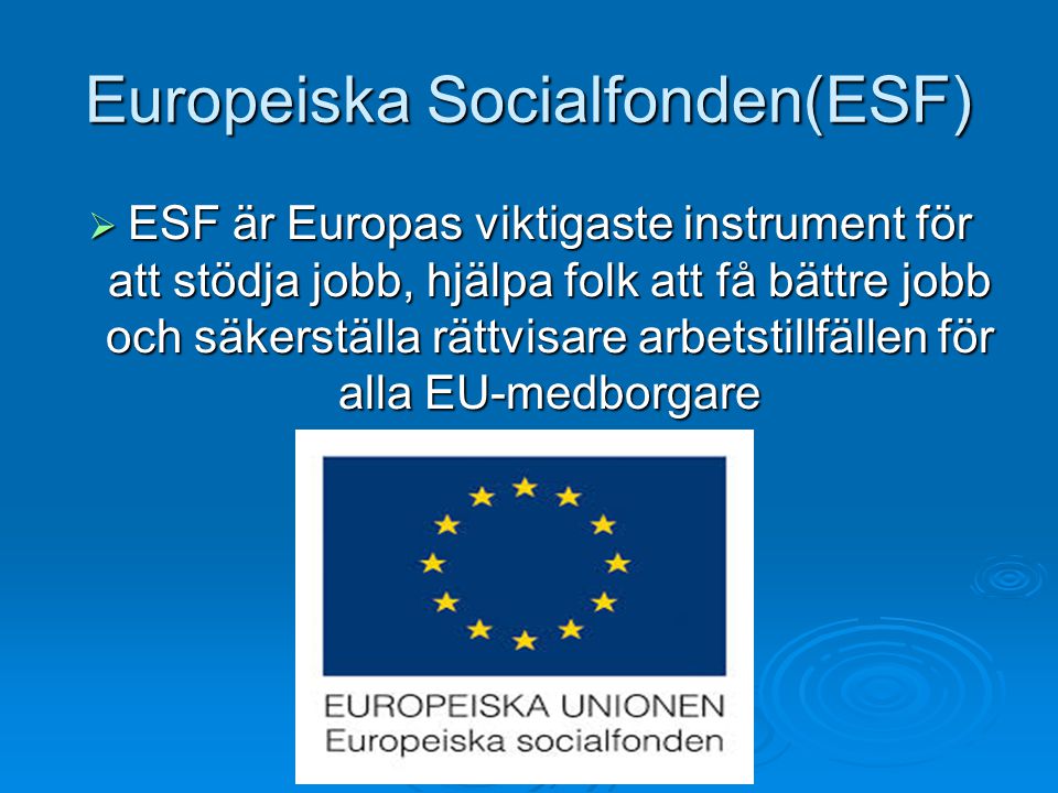 Europeiska Socialfonden(ESF)