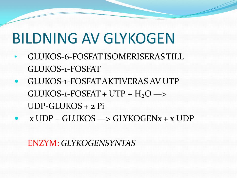 BILDNING AV GLYKOGEN GLUKOS-6-FOSFAT ISOMERISERAS TILL GLUKOS-1-FOSFAT