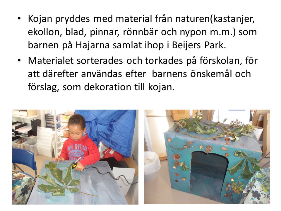 Kojan pryddes med material från naturen(kastanjer, ekollon, blad, pinnar, rönnbär och nypon m.m.) som barnen på Hajarna samlat ihop i Beijers Park.